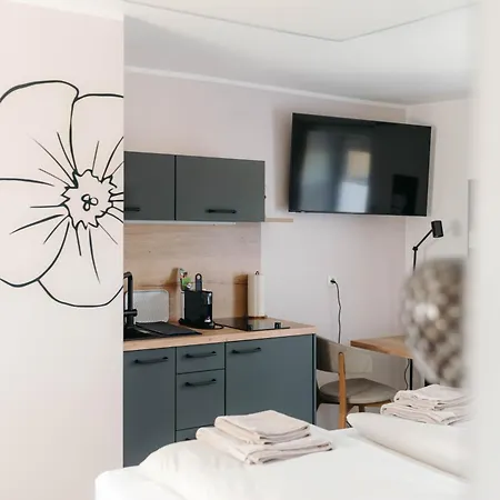 Blumenwiese - Mitten Im Thermenland